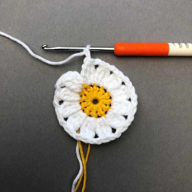 20200110_114052270_iOS