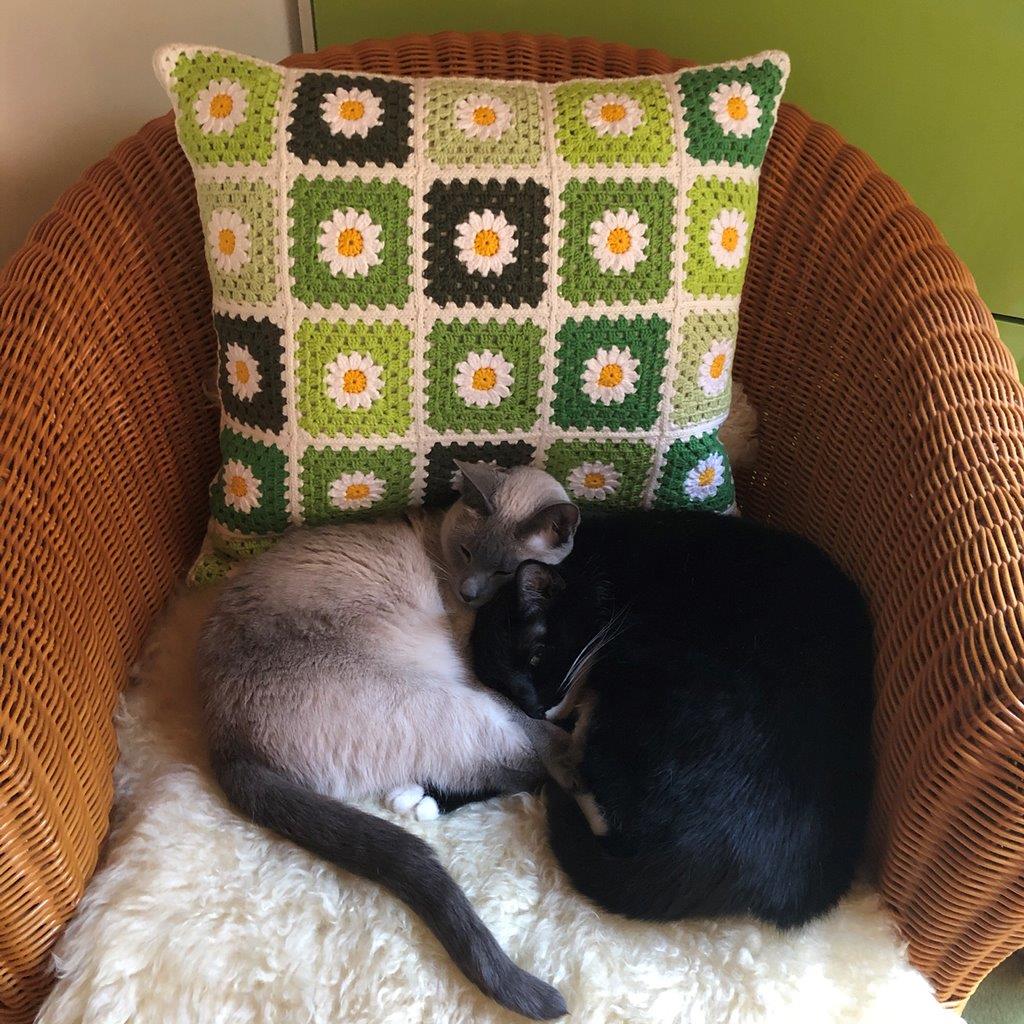 20200423_071854128_iOS