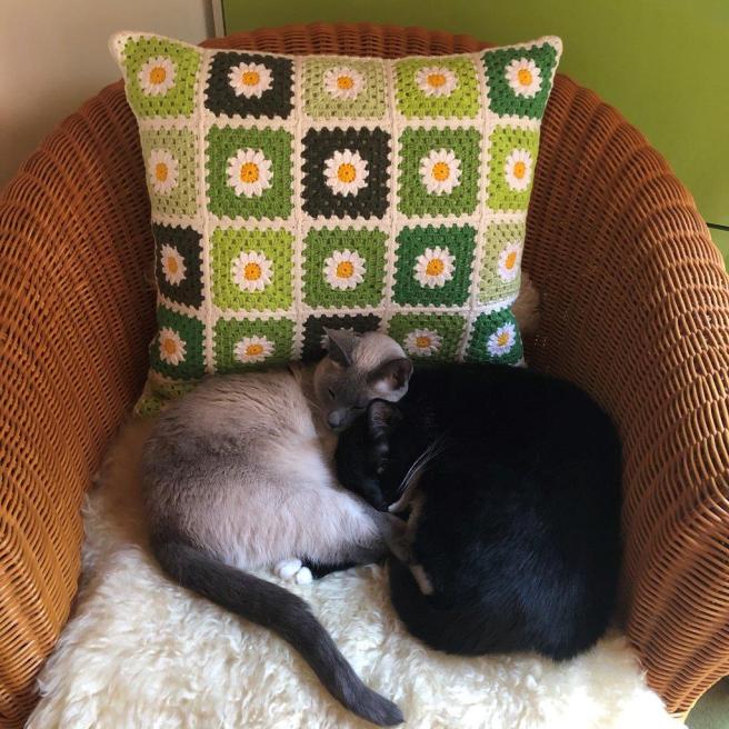 20200423_071854128_iOS